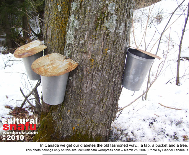 Vankleek Hill maple syrup