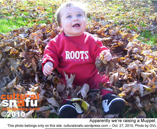 Victor's photo of the week