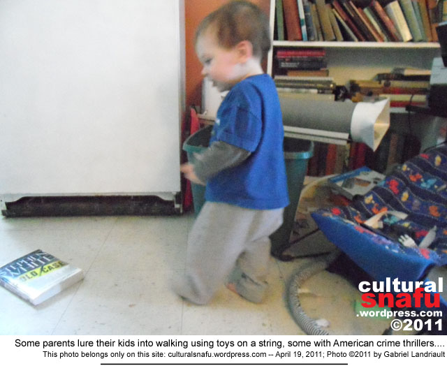 Vankleek Hill Victor walking photo