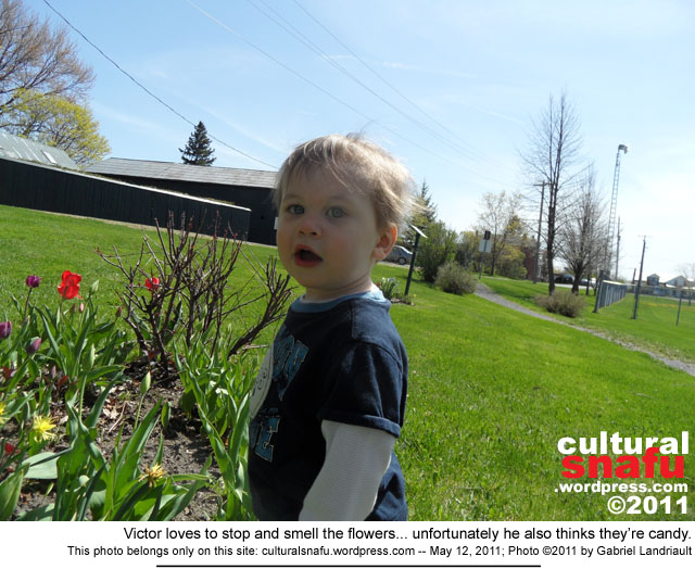 Victor at the Vankleek Hill Community Centre