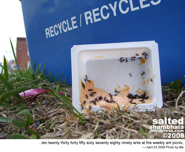 csnafu shambhala photo header