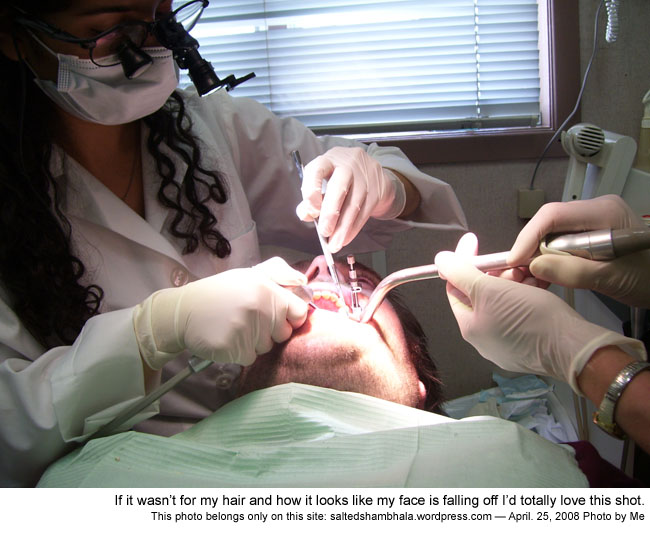 csnafu shambhala photo header