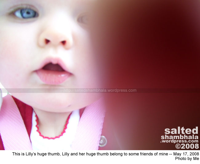 csnafu shambhala photo header