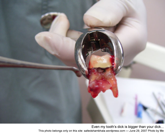 csnafu shambhala photo header