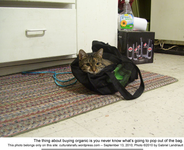 Vankleek Hill photo header