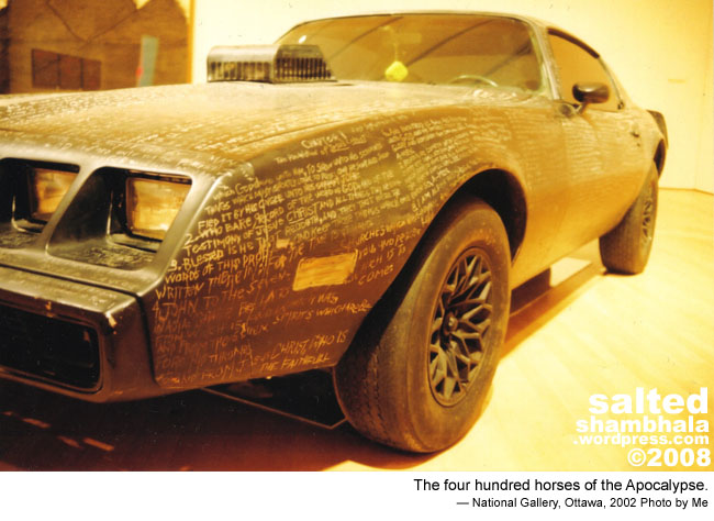 csnafu shambhala photo header